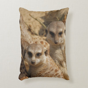 Meerkat_008 Decorative Cushion