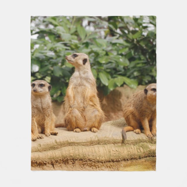 Meerkat 008 fleece blanket (Front)