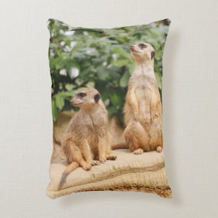 Meerkat 009 decorative cushion