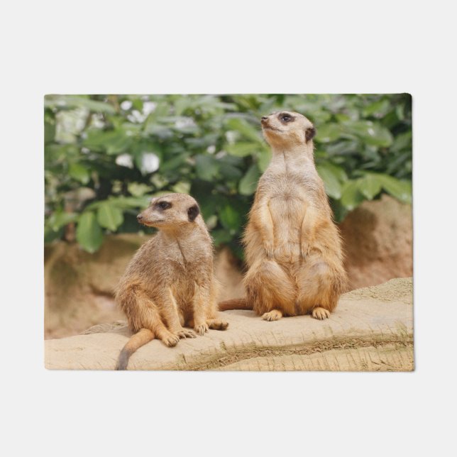 Meerkat 009 doormat (Front)