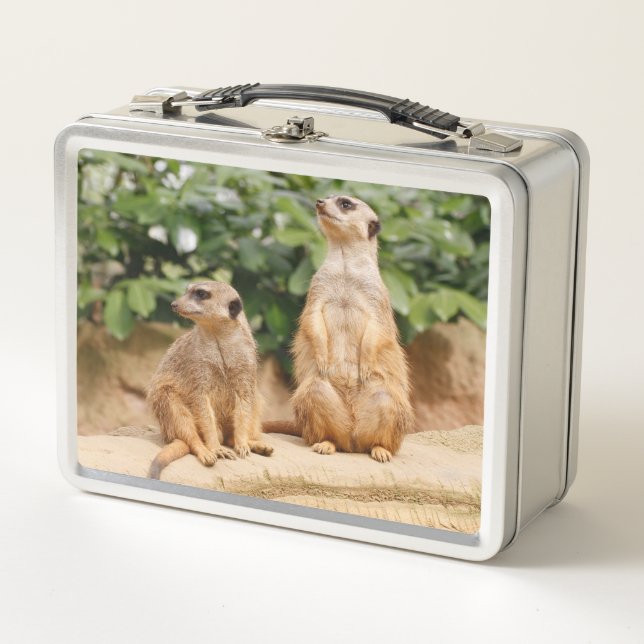 Meerkat 009 metal lunch box (Front)