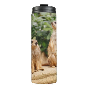 Meerkat 009 thermal tumbler