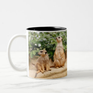 Meerkat 009 Two-Tone coffee mug