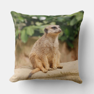 Meerkat 010 cushion