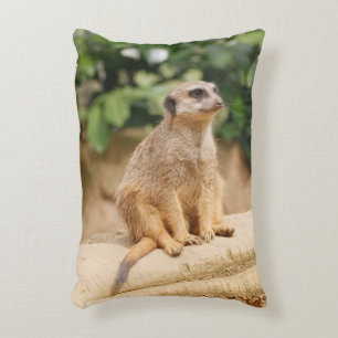 Meerkat 010 decorative cushion