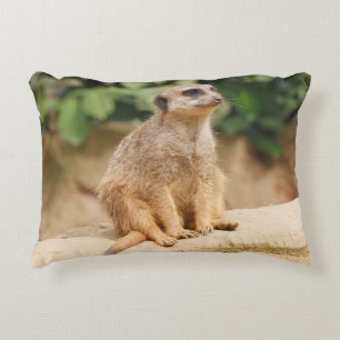 Meerkat 010 decorative cushion