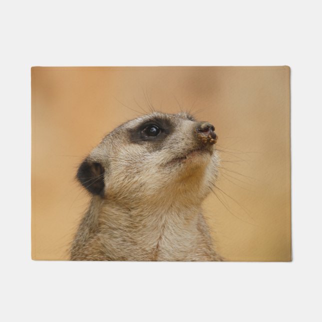 Meerkat 011 doormat (Front)