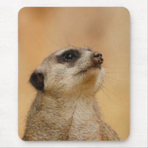 Meerkat 011 mouse pad