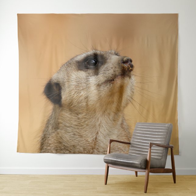 Meerkat 011 tapestry (In Situ (Horizontal))