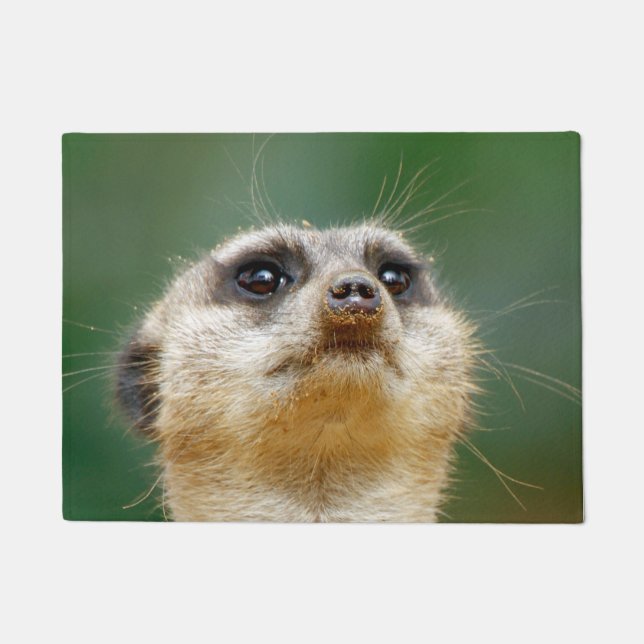 Meerkat 012 doormat (Front)