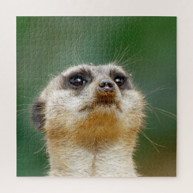 Meerkat 012 jigsaw puzzle (Vertical)