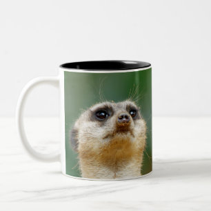 Meerkat 012 Two-Tone coffee mug