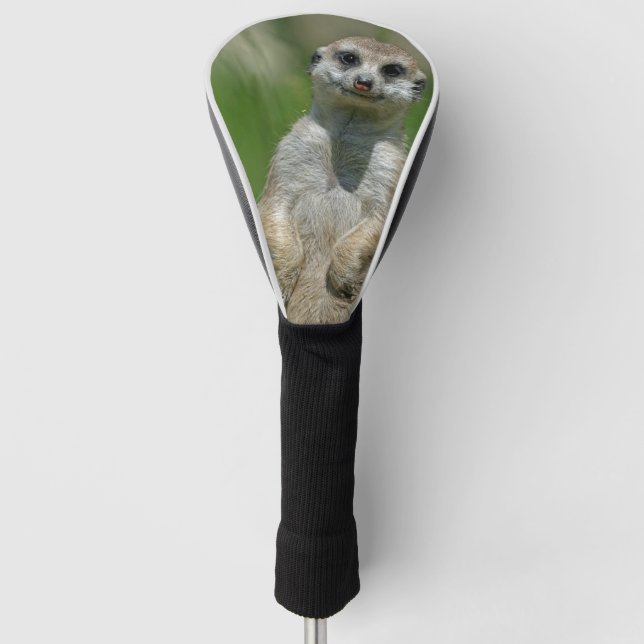 Meerkat 013 golf head cover (Front)