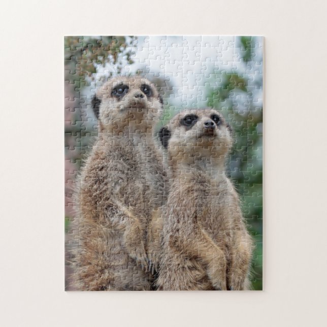 Meerkat 013 jigsaw puzzle (Vertical)
