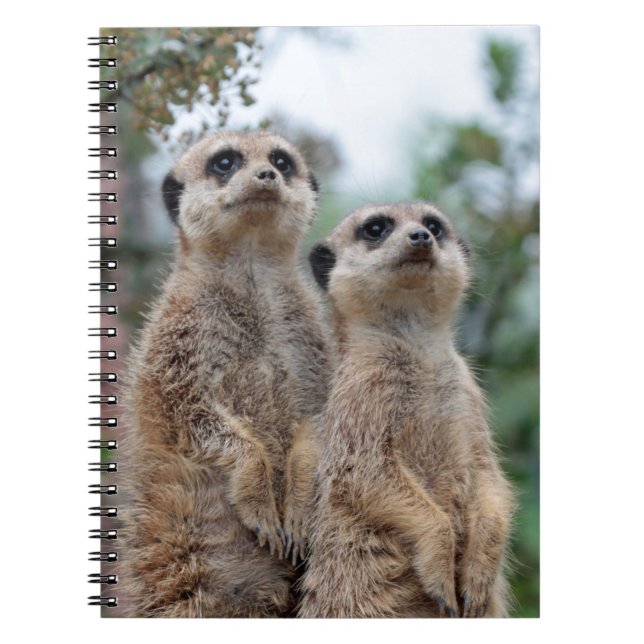 Meerkat 013 notebook (Front)