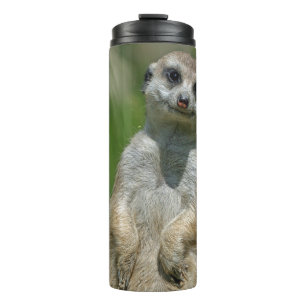 Meerkat 013 thermal tumbler
