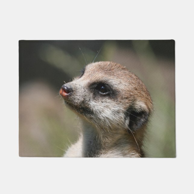 Meerkat 014 doormat (Front)