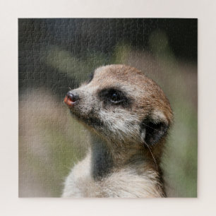 Meerkat 014 jigsaw puzzle