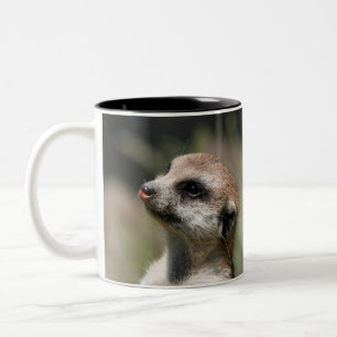 Meerkat 014 Two-Tone coffee mug
