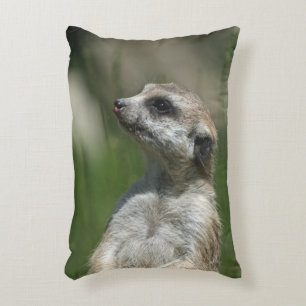 Meerkat 015 decorative cushion