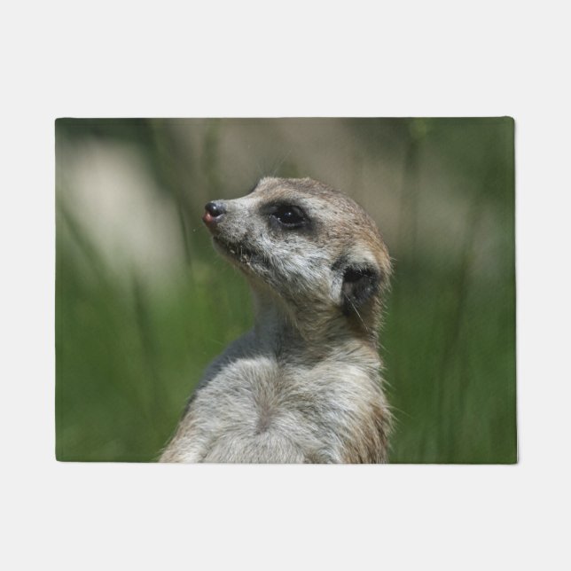 Meerkat 015 doormat (Front)