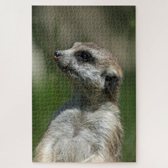 Meerkat 015 jigsaw puzzle (Vertical)