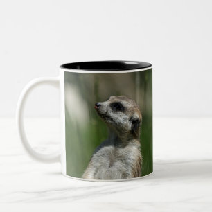Meerkat 015 Two-Tone coffee mug