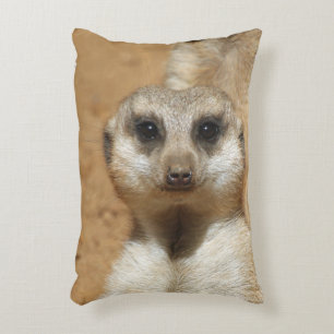 Meerkat 016 decorative cushion