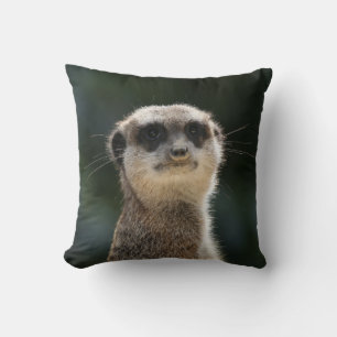 Meerkat 017 cushion