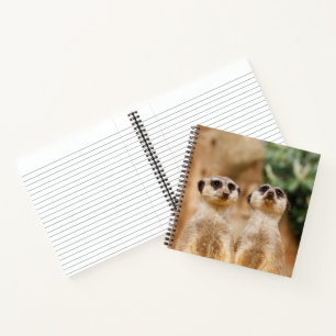 Meerkat 017 notebook
