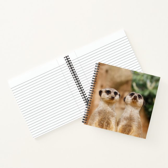 Meerkat 017 notebook (Inside)