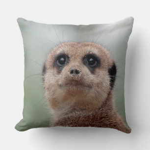 Meerkat 020 cushion