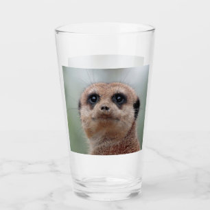 Meerkat 020 glass