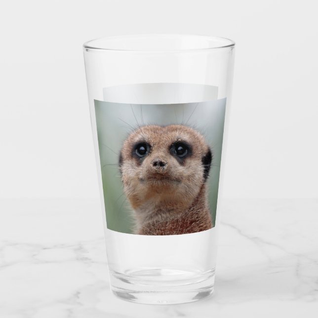 Meerkat 020 glass (Front)