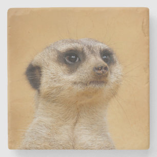 Meerkat 020 stone coaster