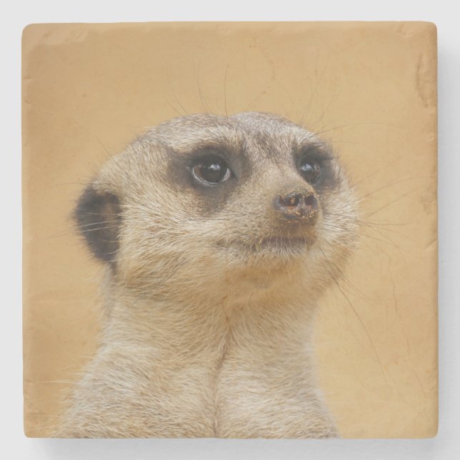 Meerkat 020 stone coaster (Front)