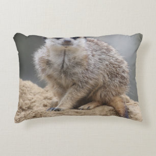 Meerkat 021 decorative cushion