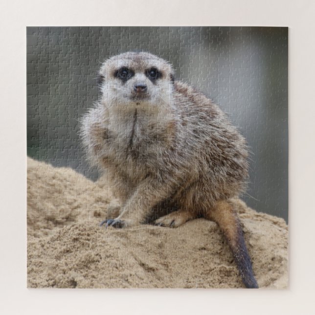 Meerkat 021 jigsaw puzzle (Vertical)
