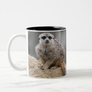 Meerkat 021 Two-Tone coffee mug
