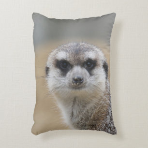 Meerkat 022 decorative cushion
