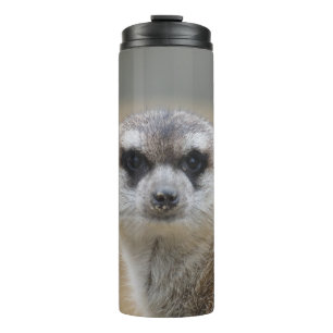 Meerkat 022 thermal tumbler