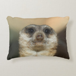 Meerkat 023 decorative cushion