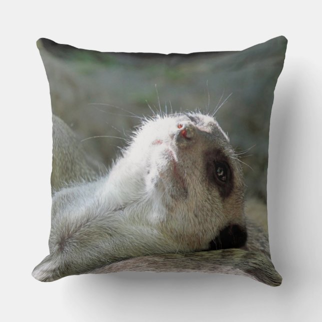 Meerkat 024 cushion (Front)