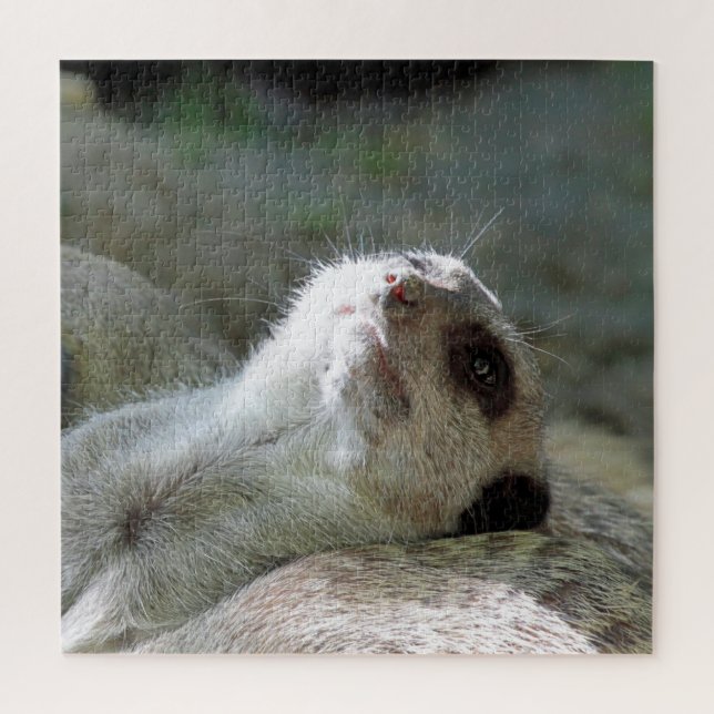Meerkat 024 jigsaw puzzle (Vertical)