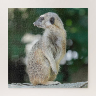 Meerkat 025 jigsaw puzzle