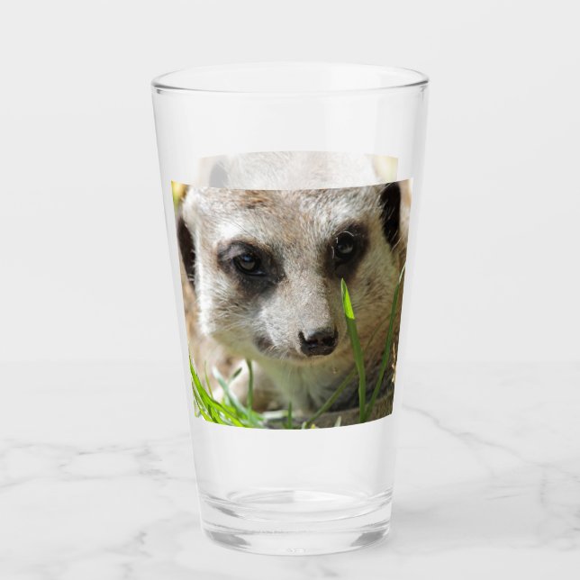 Meerkat 026 glass (Front)