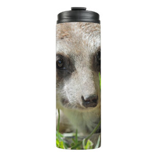 Meerkat 026 thermal tumbler