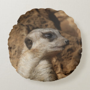 Meerkat 029 round cushion