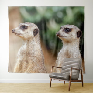 Meerkat 030 tapestry