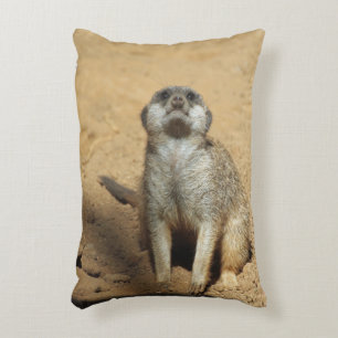 Meerkat 031 decorative cushion